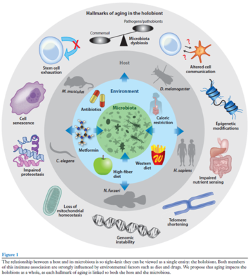 學術沙龍聚焦益生菌研究新進展，完美生科院探索生物產品研發新思路